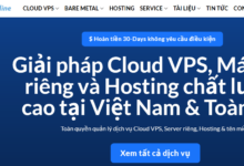 Dataonline，111元/年，越南VPS ，越南原生IP，解锁优秀，1核/1G内存/20G NVME/200Mbps/不限流量-全球VPS