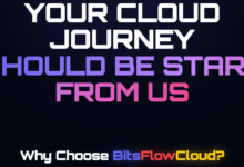 BitsFlowCloud周年庆促销：¥79年付多机房便宜VPS（东京/香港/美西/德国）+ 美国VPS三网优化线路¥119起，低延迟中国直连-全球VPS